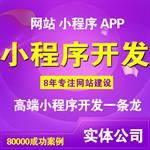 阜陽正規公司精品站服務與軟件外包服務解析