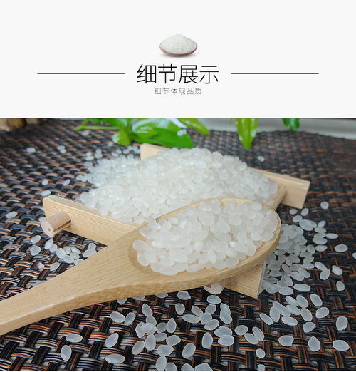 東北圓粒大米 一碗粥里的土地饋贈(zèng)與商業(yè)邏輯